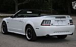 2000 Mustang Thumbnail 12