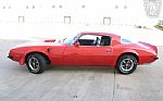 1975 Firebird Trans Am Thumbnail 2