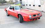 1975 Firebird Trans Am Thumbnail 14