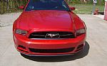 2013 Mustang Thumbnail 9