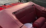 1992 MUSTANG LX Thumbnail 12