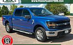 2024 F-150 Thumbnail 1