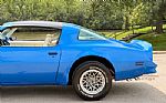 1978 Trans Am Thumbnail 13