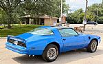 1978 Trans Am Thumbnail 26