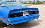 1978 Trans Am Thumbnail 40