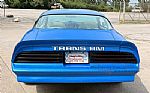 1978 Trans Am Thumbnail 41