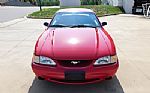 1995 Mustang SVT Cobra Thumbnail 3