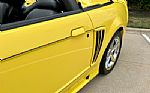 2002 Saleen Mustang Thumbnail 18
