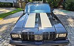 1979 Cutlass Thumbnail 22