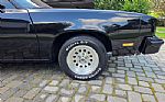 1979 Cutlass Thumbnail 40