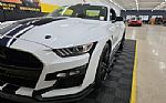 2020 Mustang Shelby GT500 Coupe Thumbnail 11