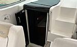 2010 Sundancer 310 Thumbnail 11