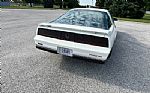 1984 Firebird Thumbnail 14