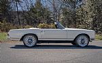 1967 250 Thumbnail 9
