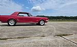 1966 Mustang Thumbnail 2