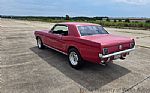 1966 Mustang Thumbnail 8