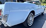 1966 Mustang Thumbnail 7