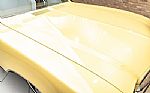 1971 Skylark Thumbnail 39