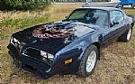 1977 Firebird Thumbnail 1