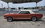 1966 Mustang Thumbnail 9