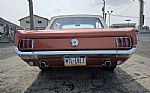 1966 Mustang Thumbnail 14