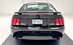2003 Mustang Mach 1 Thumbnail 4
