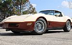 1981 Corvette Thumbnail 22