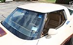 1981 Corvette Thumbnail 67