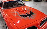 1977 Trans Am Thumbnail 19