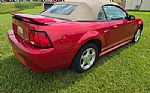 2002 Mustang Thumbnail 6