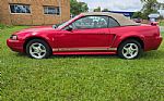 2002 Mustang Thumbnail 4