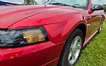 2002 Mustang Thumbnail 10