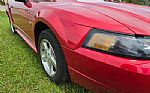 2002 Mustang Thumbnail 14