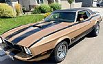 1973 Mustang Thumbnail 1