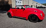 1969 Beetle Thumbnail 2