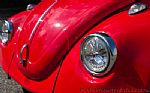 1969 Beetle Thumbnail 31