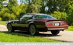 1977 Trans Am Thumbnail 14