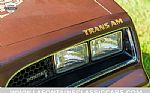 1977 Trans Am Thumbnail 22