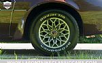 1977 Trans Am Thumbnail 29