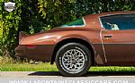 1977 Trans Am Thumbnail 37