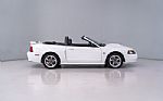 2004 Mustang GT 40TH Anniversary Thumbnail 7
