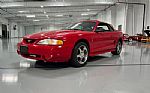 1994 Mustang SVT Cobra Thumbnail 1