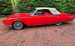 1961 Thunderbird Roadster Thumbnail 2