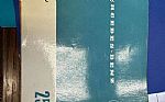 1967 250 Thumbnail 38