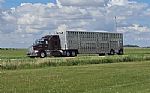 2012 T660 Thumbnail 3