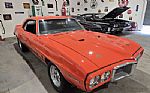1969 Firebird Thumbnail 2