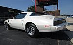 1979 Firebird Thumbnail 13