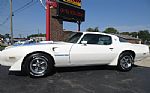 1979 Firebird Thumbnail 16