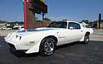 1979 Firebird Thumbnail 17