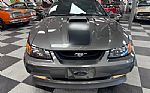 2004 Mustang Mach1 Thumbnail 8